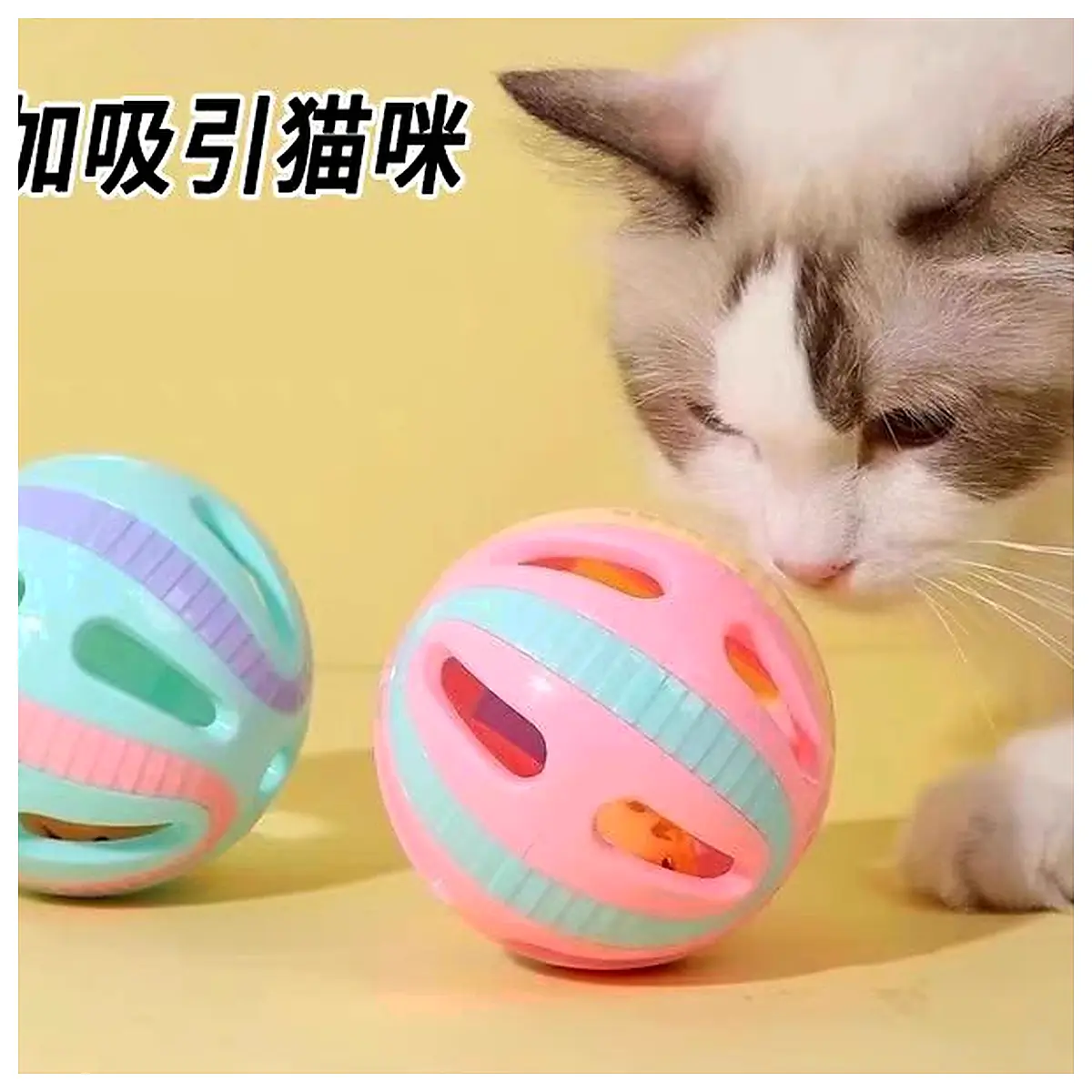 Cat Toy Ball Interactive Cat Toys Catnip Ball Puzzle Cat Toys Training Ball Pet Balls
