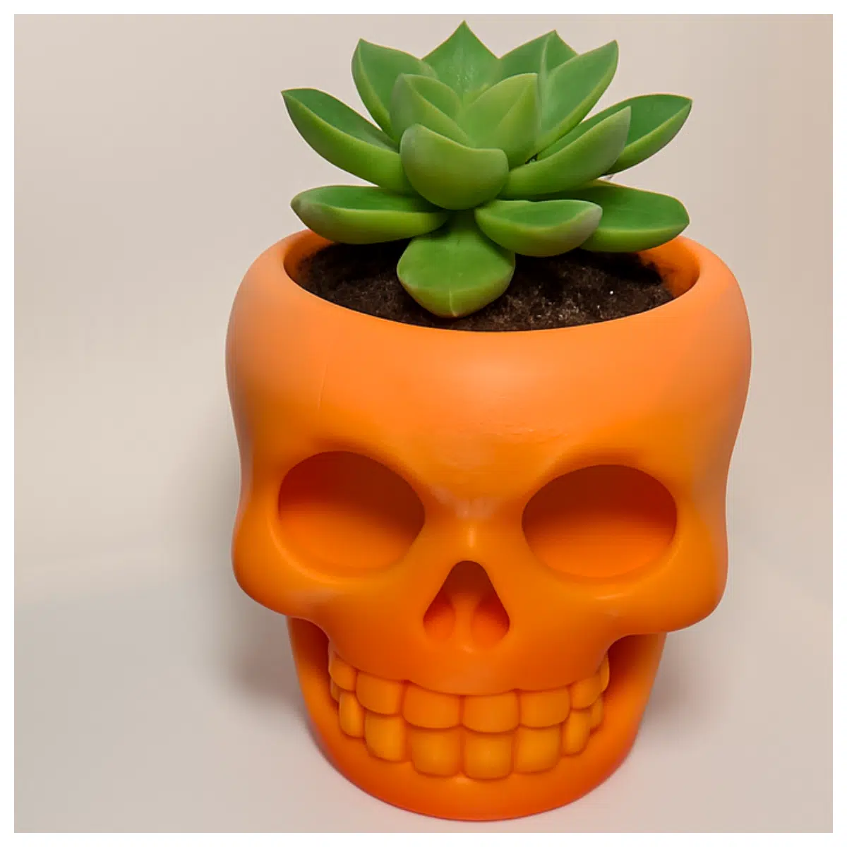 Skeleton Plant Pot Realistic Bone Planter Decorative Skull Flower Stand Creative Desktop Ornament Bonsai Pot Holder