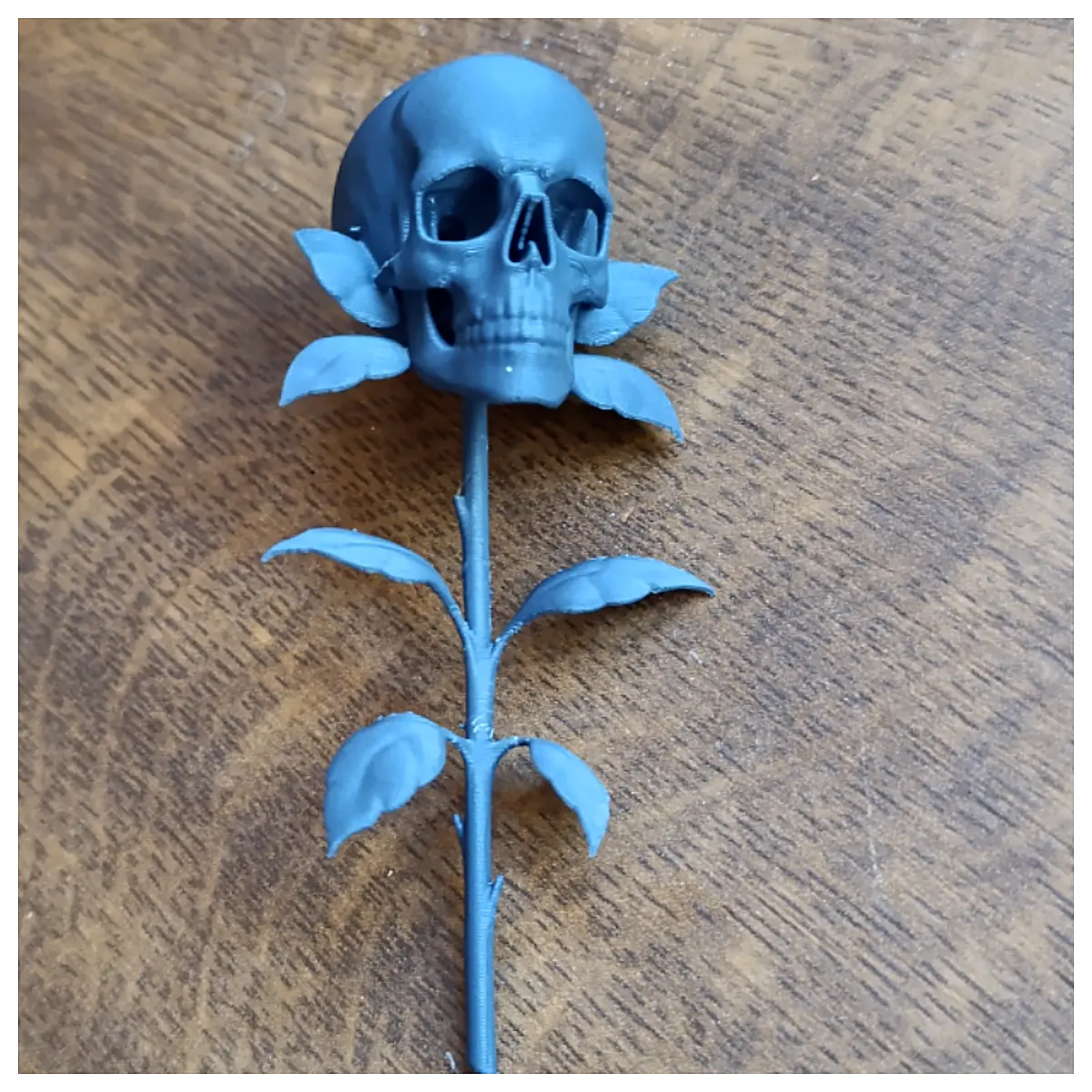 Skulls Blossom Benefits Beauty Skin Care Anti Aging Revitalize Improve Skin Tone Enhance Radiance