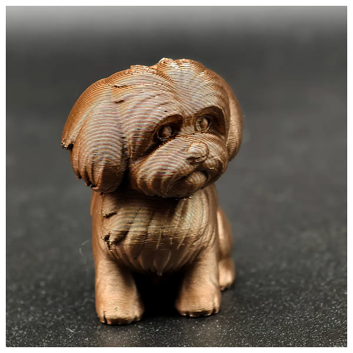 Havanese Puppy Price Dog Sale Dog Food Training Supplies Repair Parts