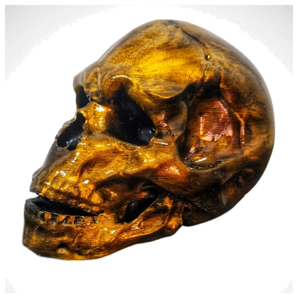 Realistic Skull Model Horror Decoration Prop Cosplay Accessory Skeleton Parts Complete Set Skull Accessories Bone Components