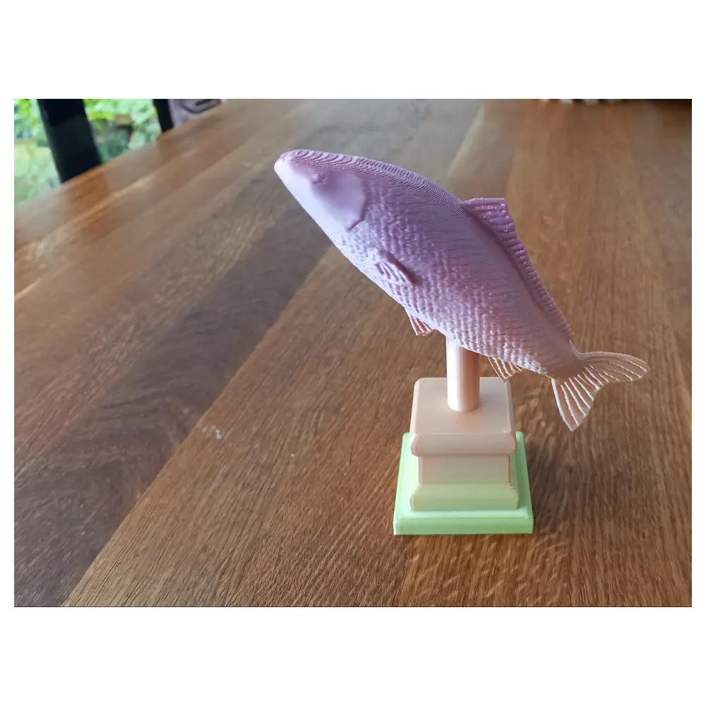 Carp Trophy Fishing Trophy Catching Trophy Fish Trophy Carp Model Fishing Model Award Trophy Fish Prize