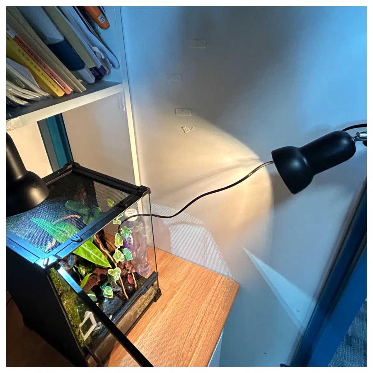 Solar Stand Phone Stand Desk Stand Holder Adjustable Brightness Outdoor Stand