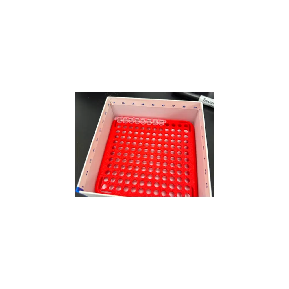 PCR Rack Organizer Tube Holder Box Storage Lab Supplies Medical PCR Rack Experiment