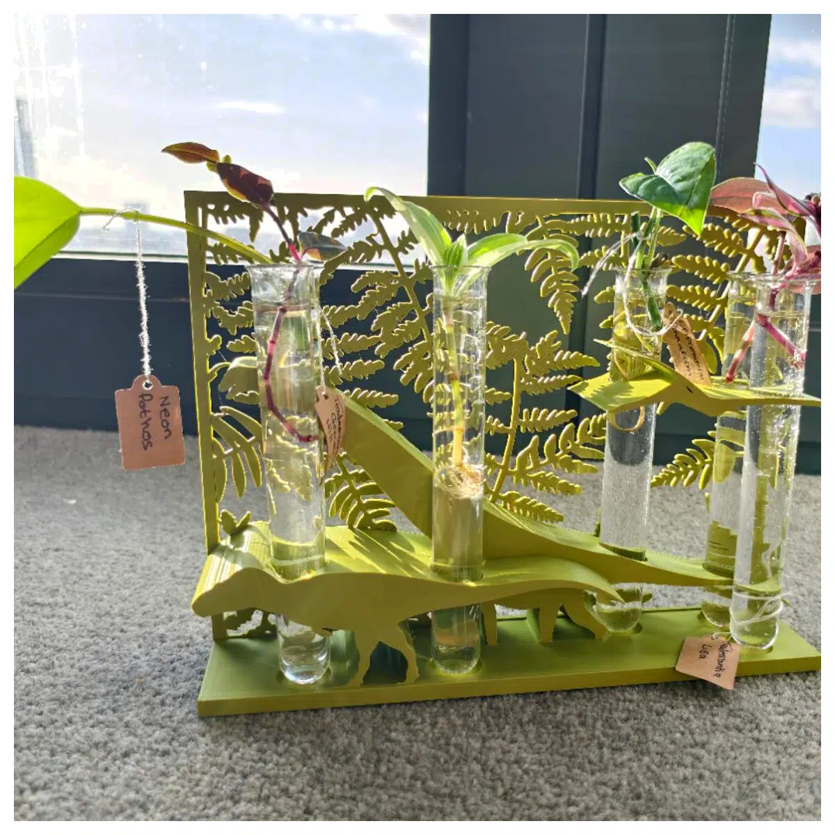 Sperm Bank Stand Display Rack Dinosaur Theme Collection Showcase Toy Stand Ultimate Model Decoration Figure