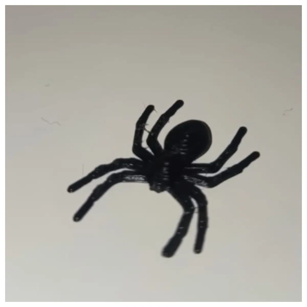 Halloween Spider Decoration Spider Web Party Decor Props Creepy Halloween Supplies