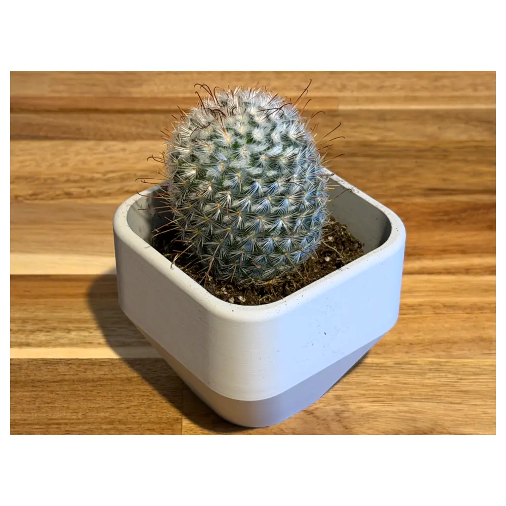 Modern Mini Planters Ceramic Pots Small Planters Plant Pots Succulent Planters Flower Pots Gardening Plant Care