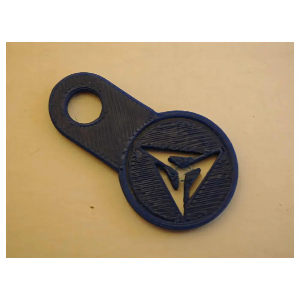 Vectron Coin Keychain Keychain Collectible Memorabilia Coin Accessories Repair
