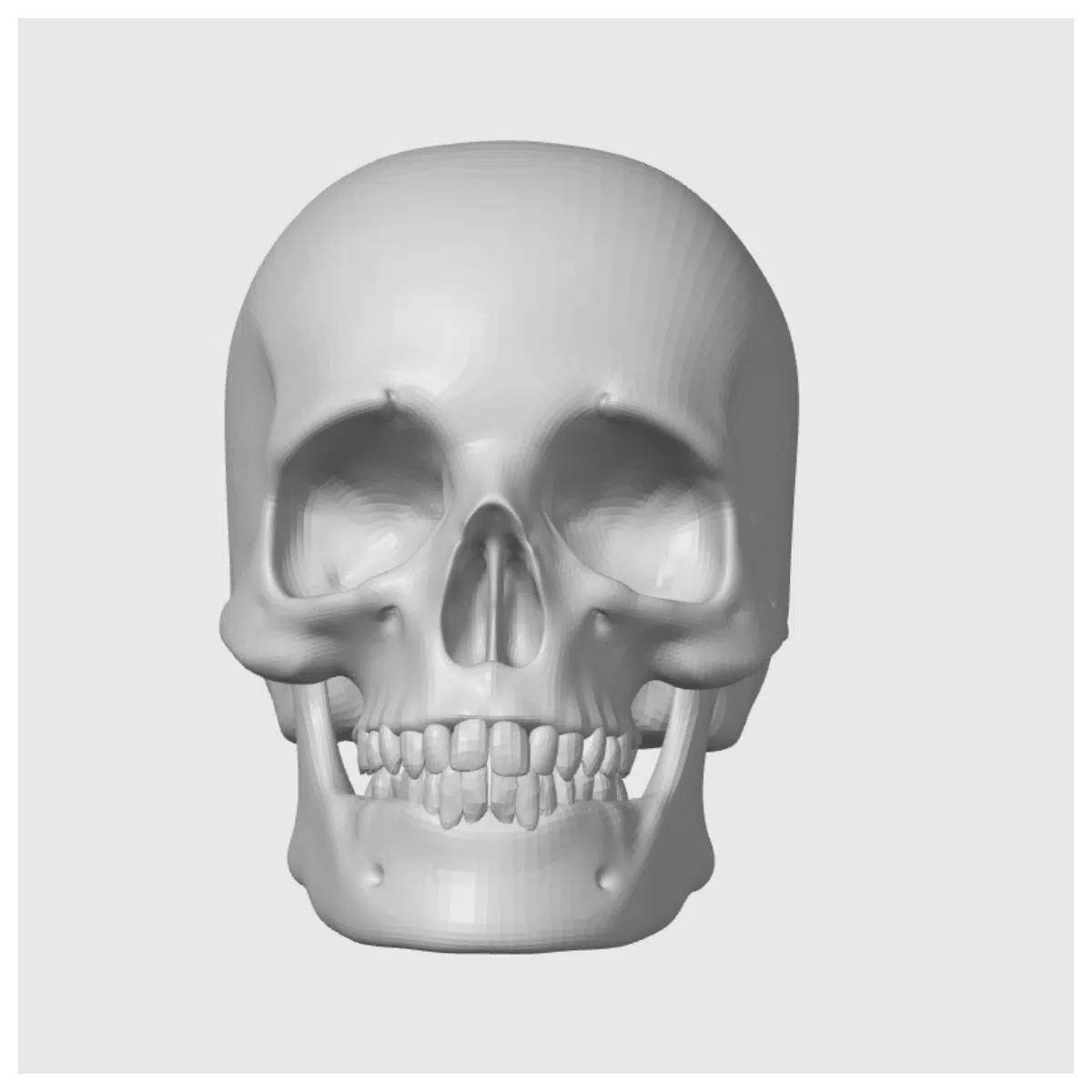 skull model display stand decorative prop for home office shelf ornament collectible figure cast study tool