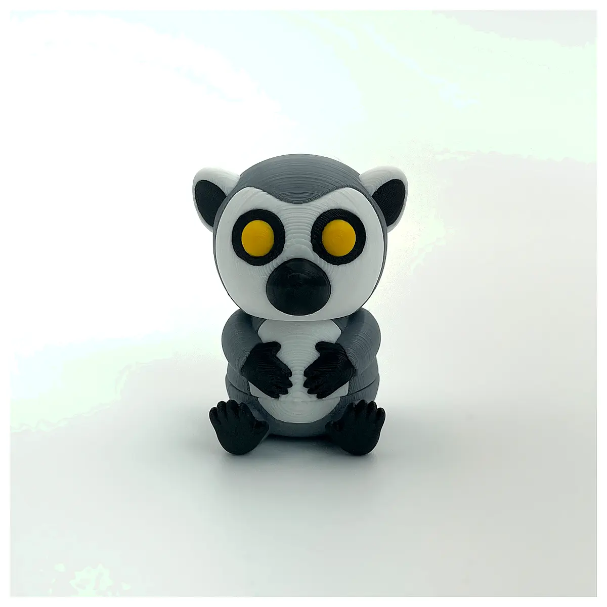 Mobile Joint Lemur Flexible Joints Animal Bones Anatomy Research Skeletal Study