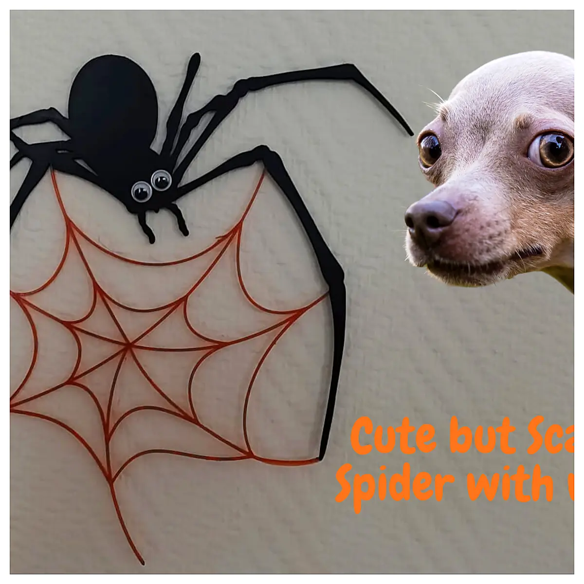 Wall Hanging Spider Decoration Spider Web Cool Wall Decor Creative Home Accent Spider Toys Spider Models