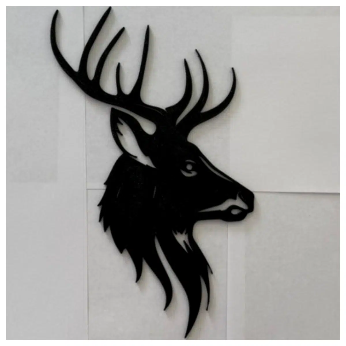 Venison Meat Deer Roast Deer Steak Deer Antlers Deer Blood Deer Processing Deer Products Deer Wholesale Deer Supply Fresh Venison