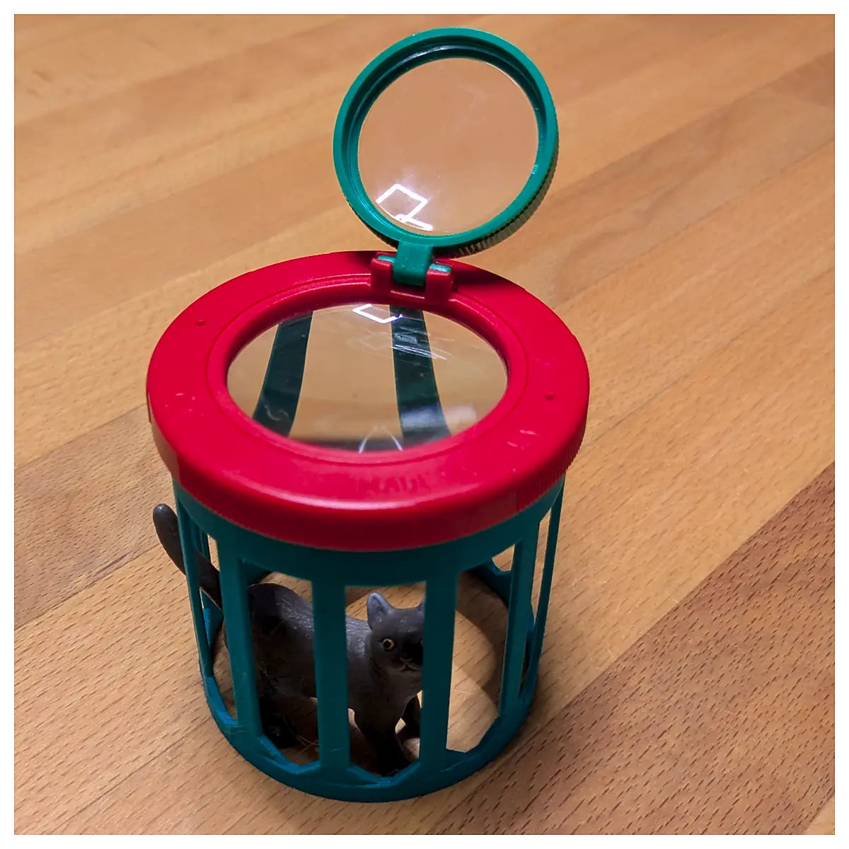 Insect Observation Cup Bottom Replacement Magnifying Glass Accessories Observation Cup Base Insect Viewer Parts