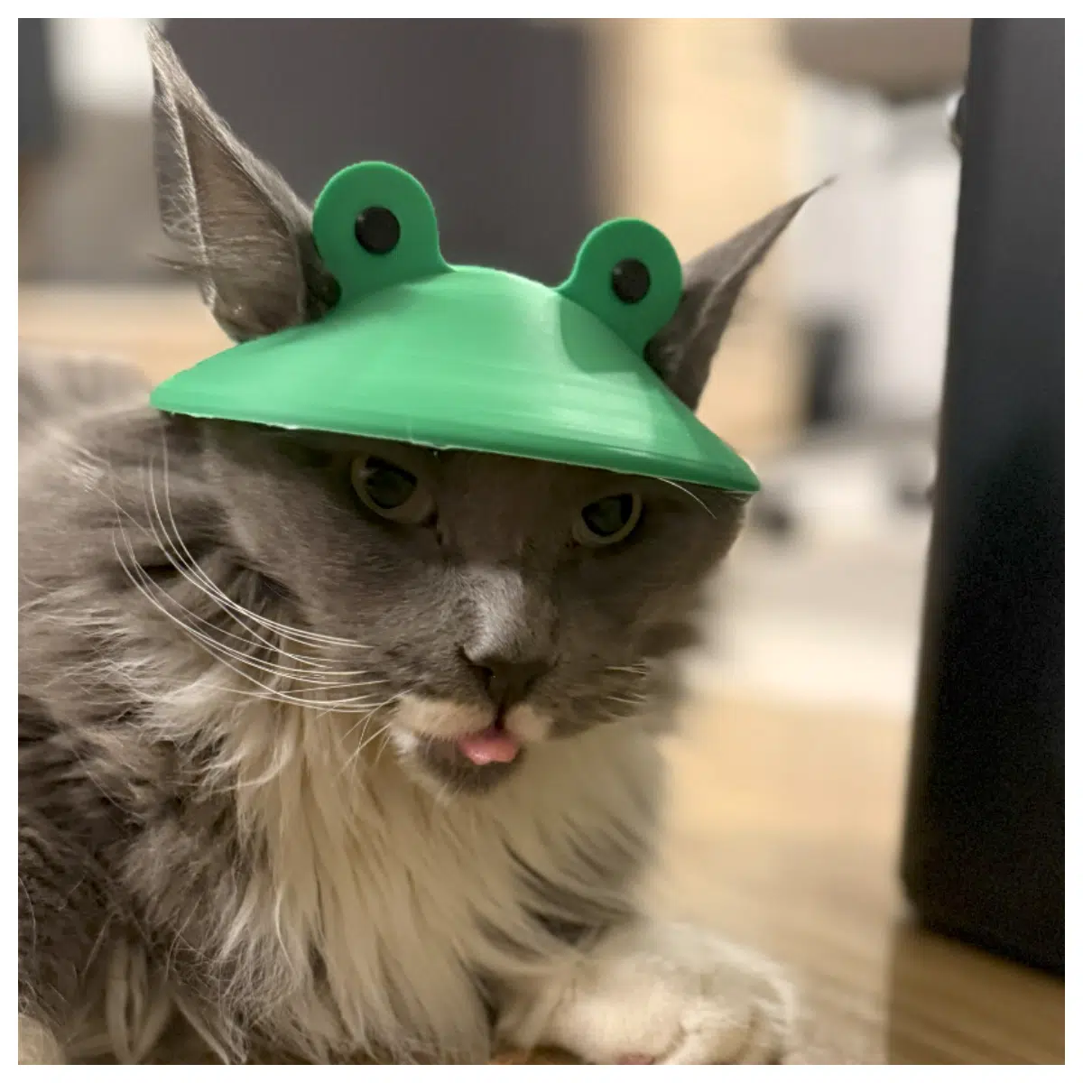 Hats for Cats Dogs Pet Headwear Playful Toy Cat Dog Accessory Cute Pet Supplies