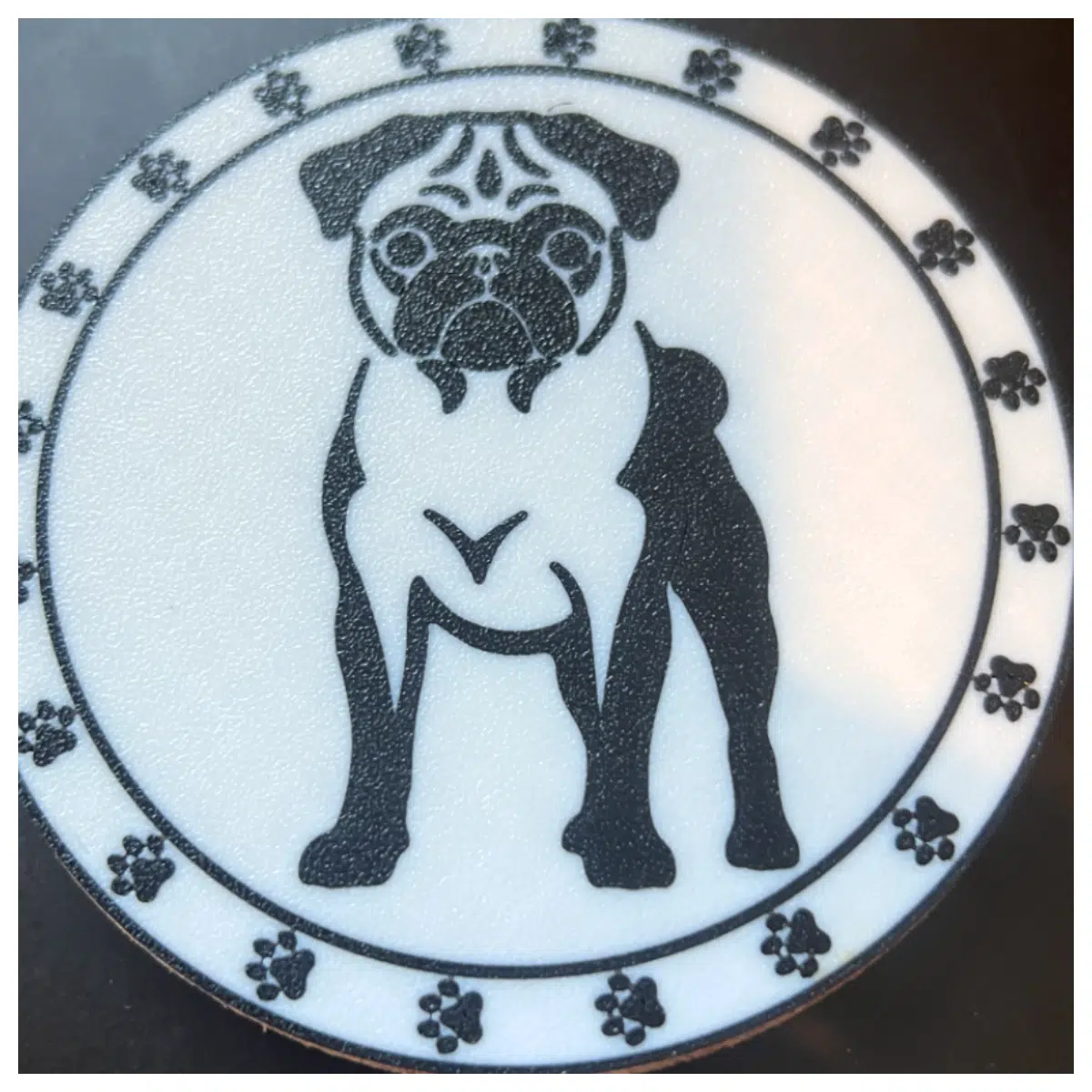 Paco Dog Coasters Pet Mats Dog Pads Drink Mats Table Water Bowls Dog Accessories