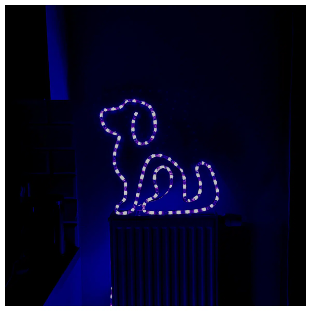 Neon Dog Pet Dog Toy Decoration Pet Accessories Dog Supplies