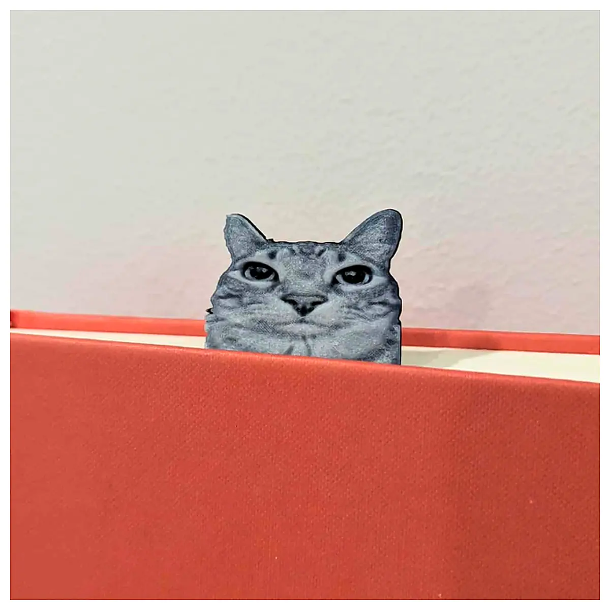 Cat Meme Slideshow Bookmark Funny Dynamic Wallpaper Mobile Themes Entertainment Images Animated Stickers