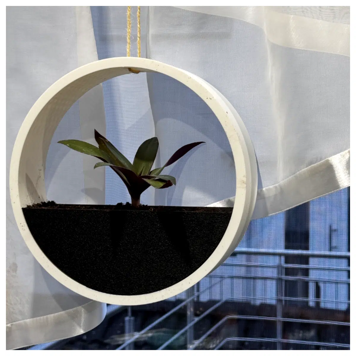 Ring Hanger Flower Pot Design Hanging Planters Indoor Garden Decor Hanging Flower Stand Creative Floral Arrangements