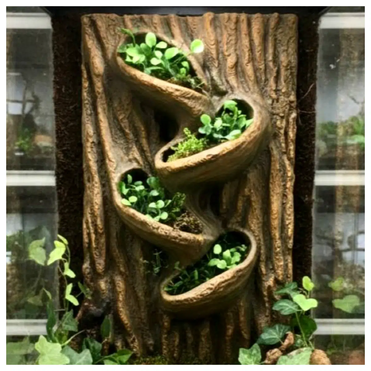 Flower Pot Background Roots Plant Pots Container Flowers Planting Pots Root Base Potted Soil Garden Pots