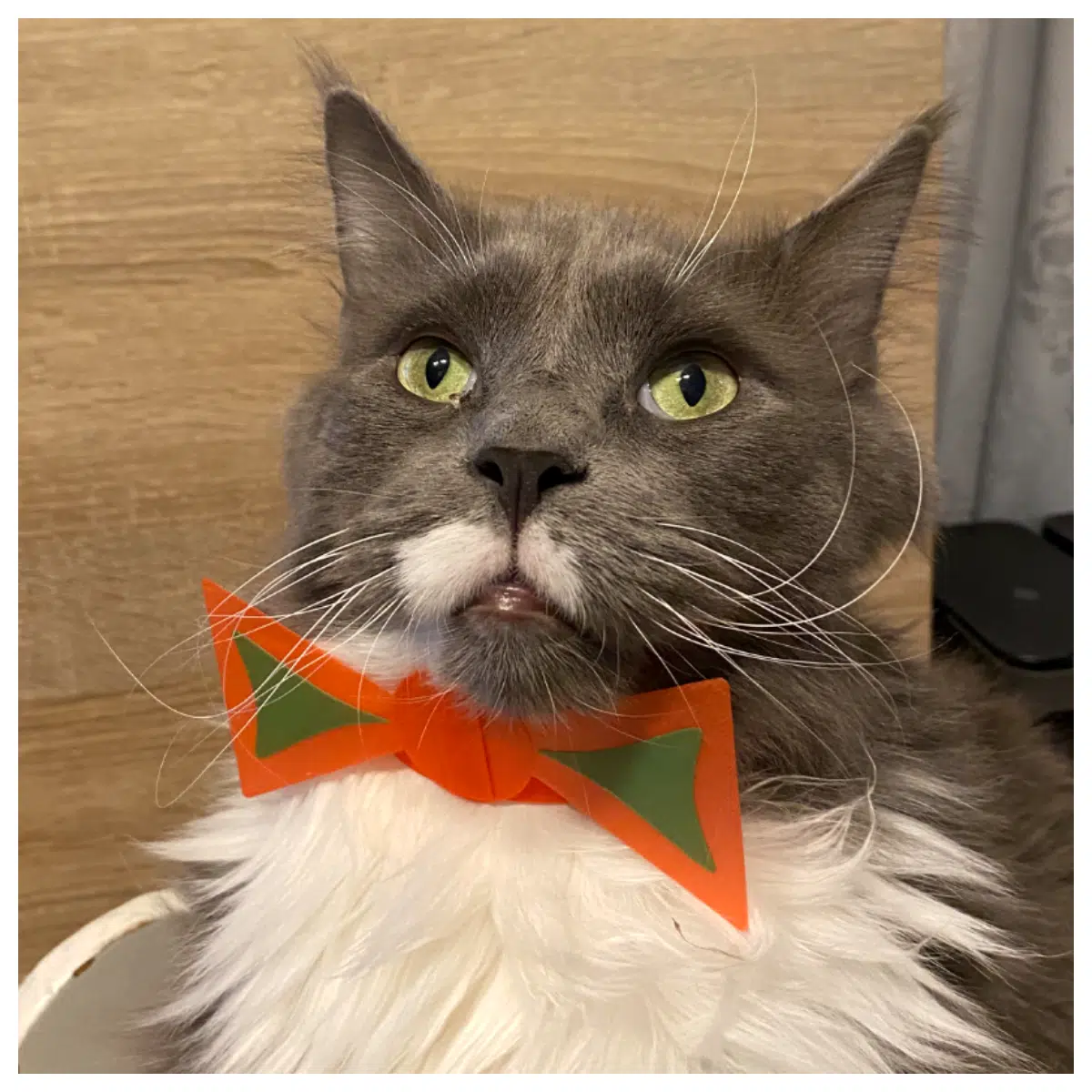 Cat Dog Party Bow Tie Pet Decoration Special Occasion Outfit Small Dog Bow Tie Cat Bow Tie Accessories Festival Gift
