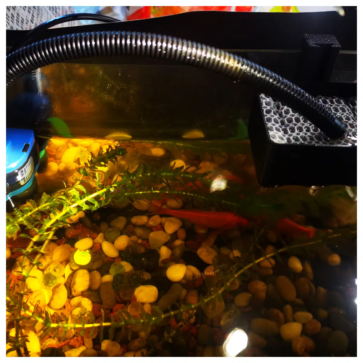 Aquarium Filter Accessories Filtration Pump Water Pump Filter System Aquarium Maintenance Aquarium Equipment