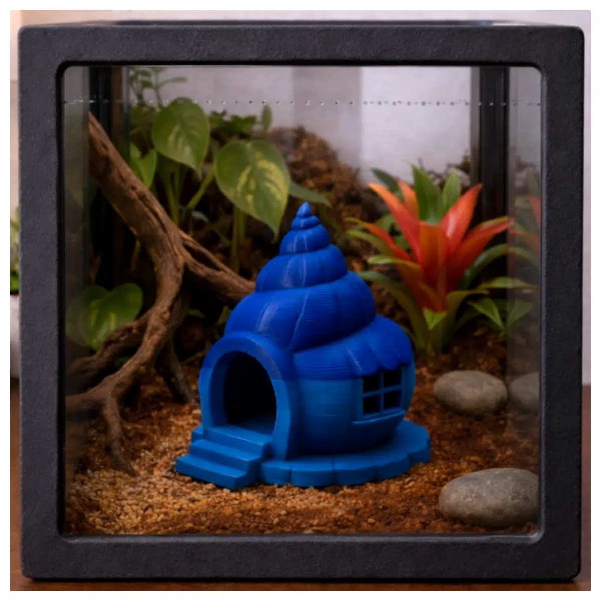Shell Decor Seaside Villa Decoration Beach Shell Cottage Shell Art Home Decor Creative Design