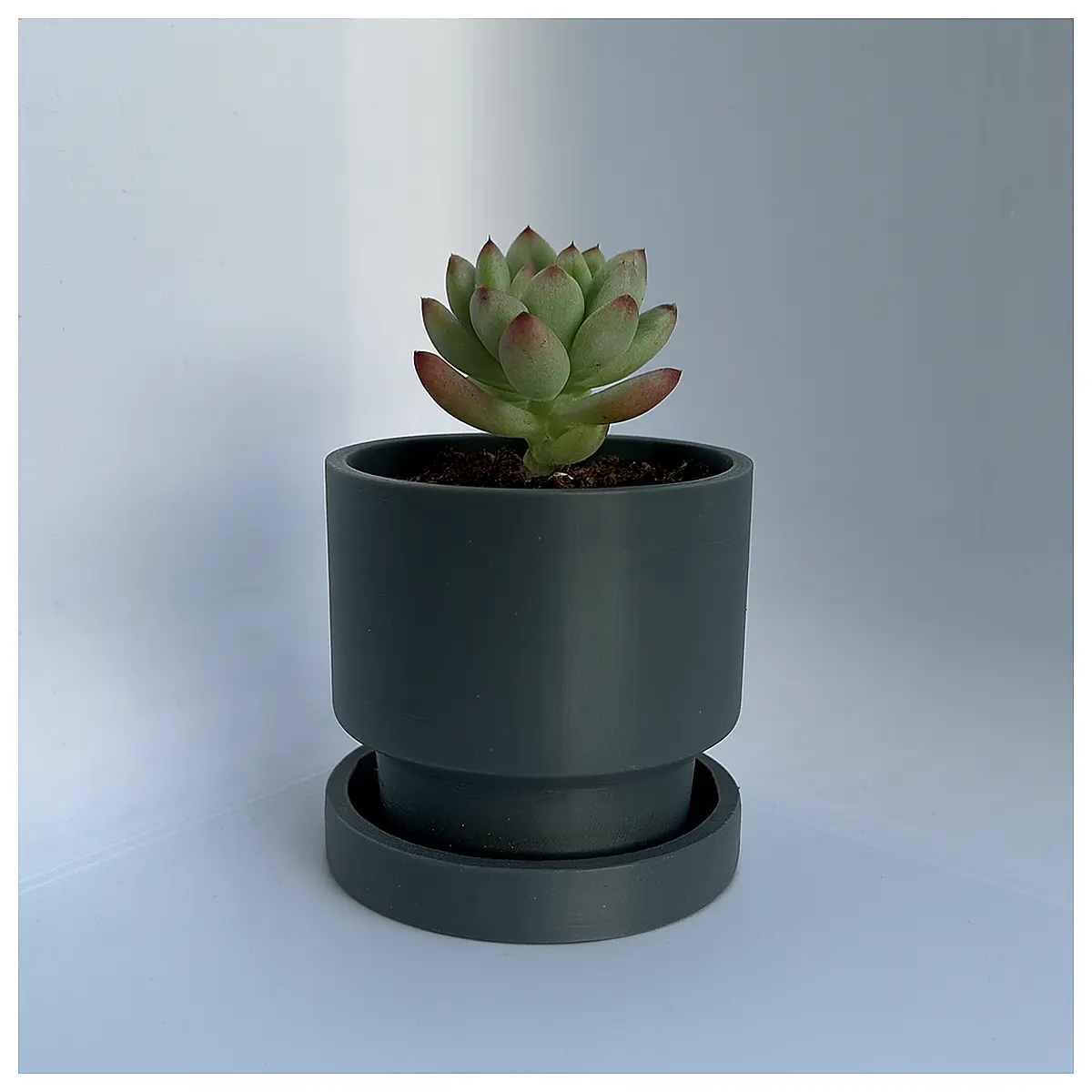 Minimal Ceramic Planters Simple Planters Potted Plants Indoor Plants Gardening Decorative Pots Flower Care