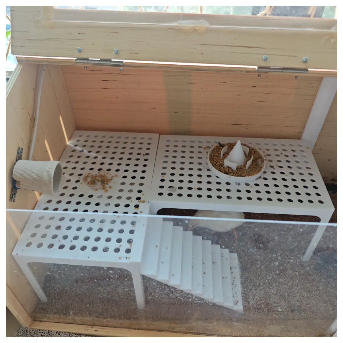 Hamster Multi Level Cage Accessories Climbing Shelf Habitat Toy Ladder