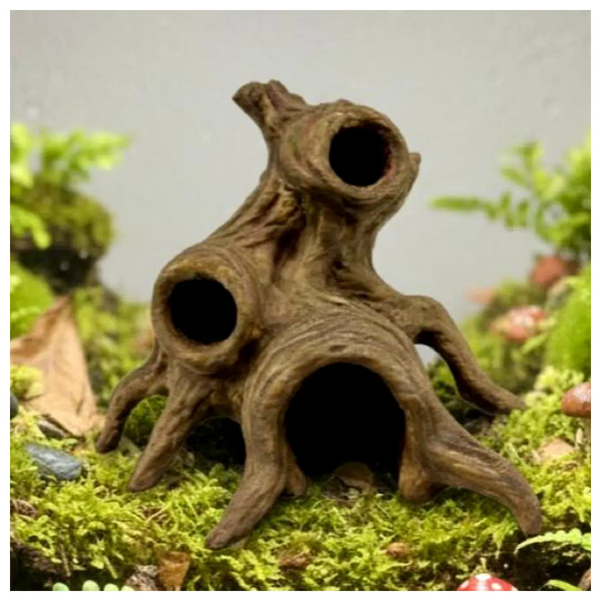 Root Maintenance Tools Root Repair Root Diagnostic Root Care Root Repair Root Parts Root Inspection Fix Root Issues Now