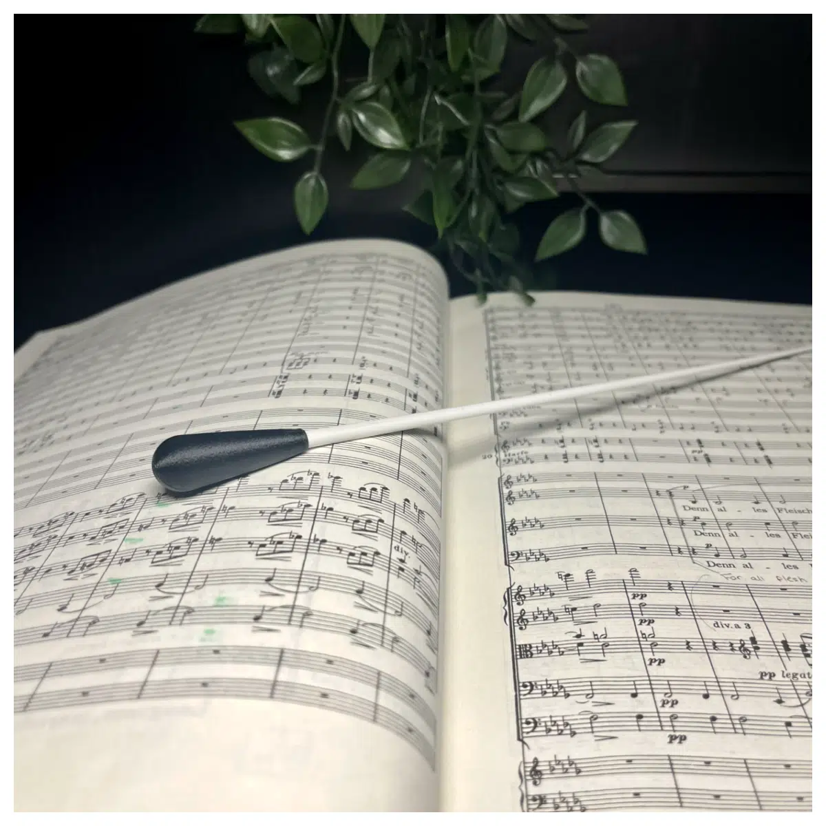 Conductor Baton Musical Direction Performance Instrument Accessories Music Education Music Score Accompaniment Conductor Baton