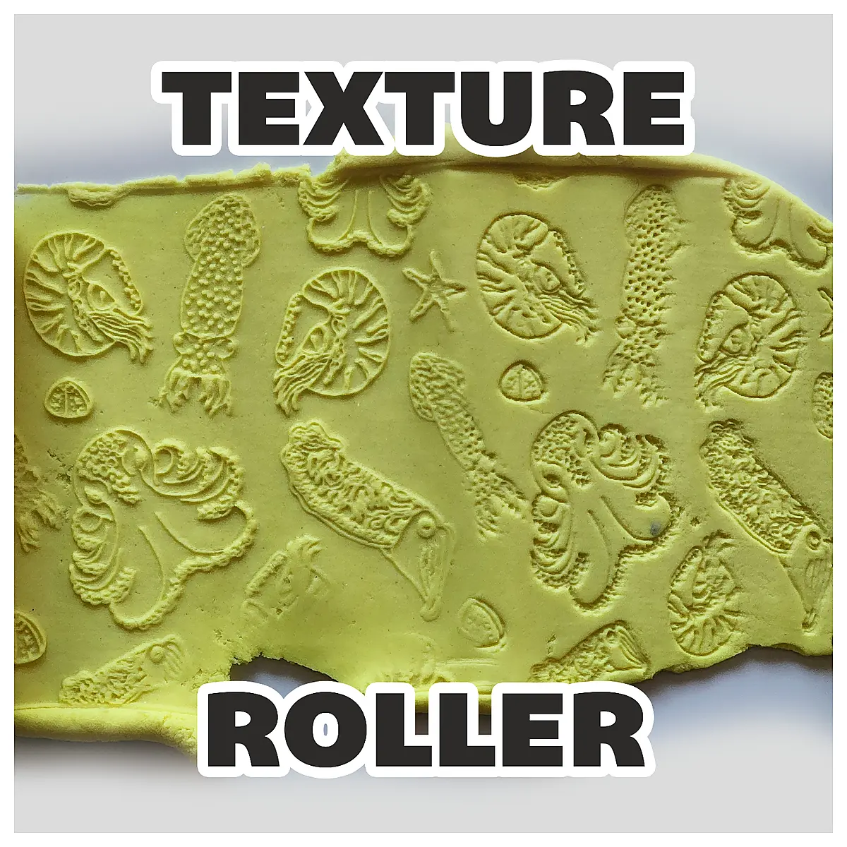 Rool V174 Mollusks Editing Optimization 3D Software Rendering Pipeline