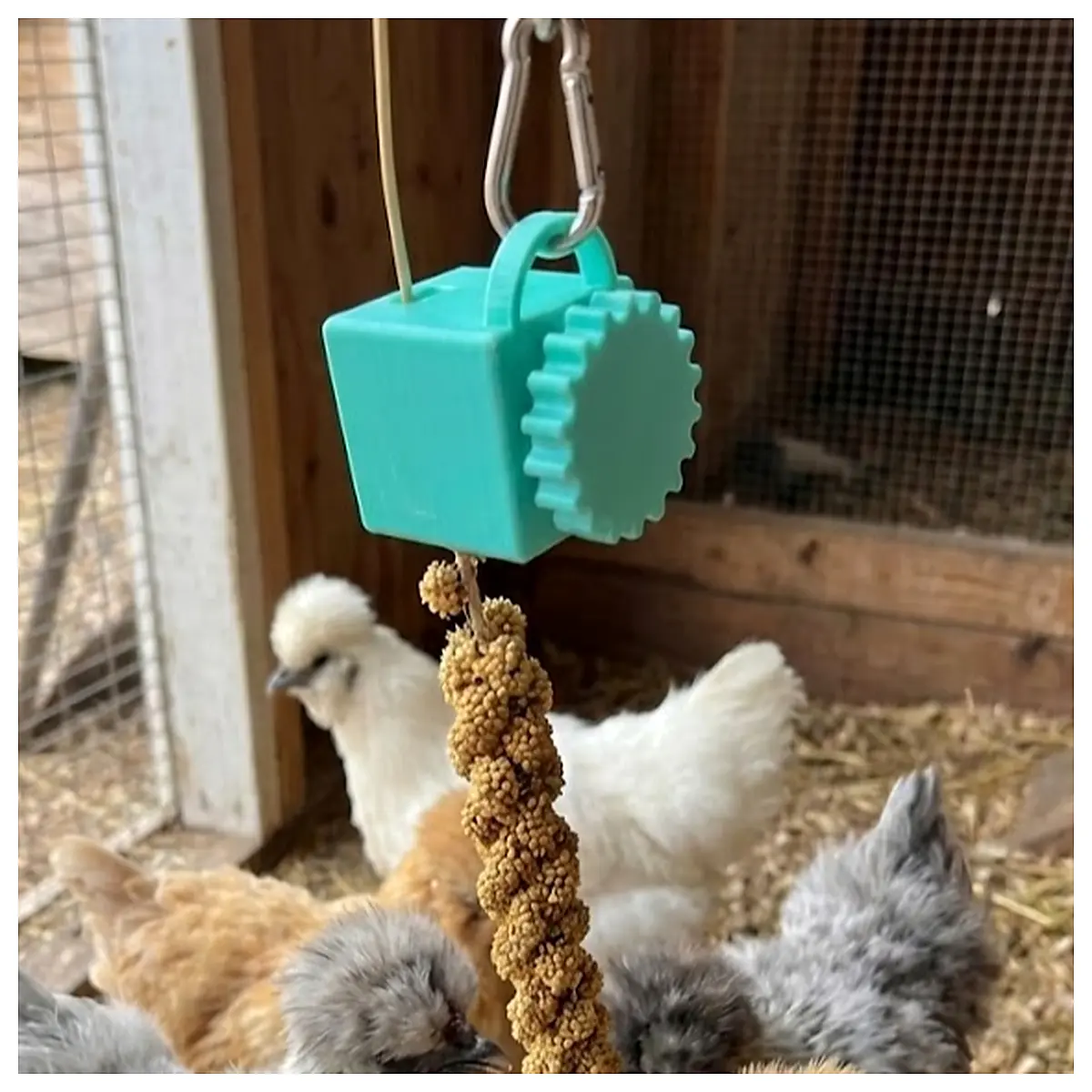 Grain Holder Chicken Treat Feeder Adjustable Bird Food Stand Bird Feeder Toys Automatic Feeder