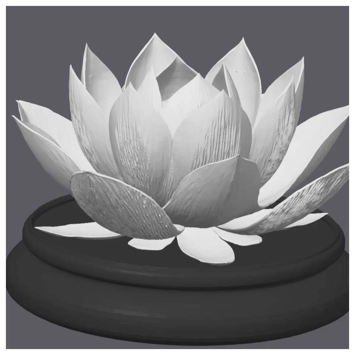 Plant Cuttings Indoor Flowers Succulents Houseplants Universal Flower Pots Flower Cultivation Pruning