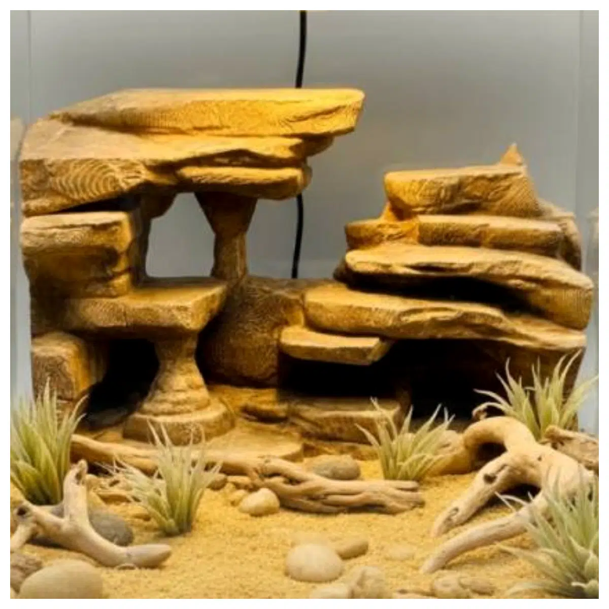 3D Background Plate Rocky Sparse Grassland Photography Studio Backdrop Film Props Shooting Scene Construction Green Screen