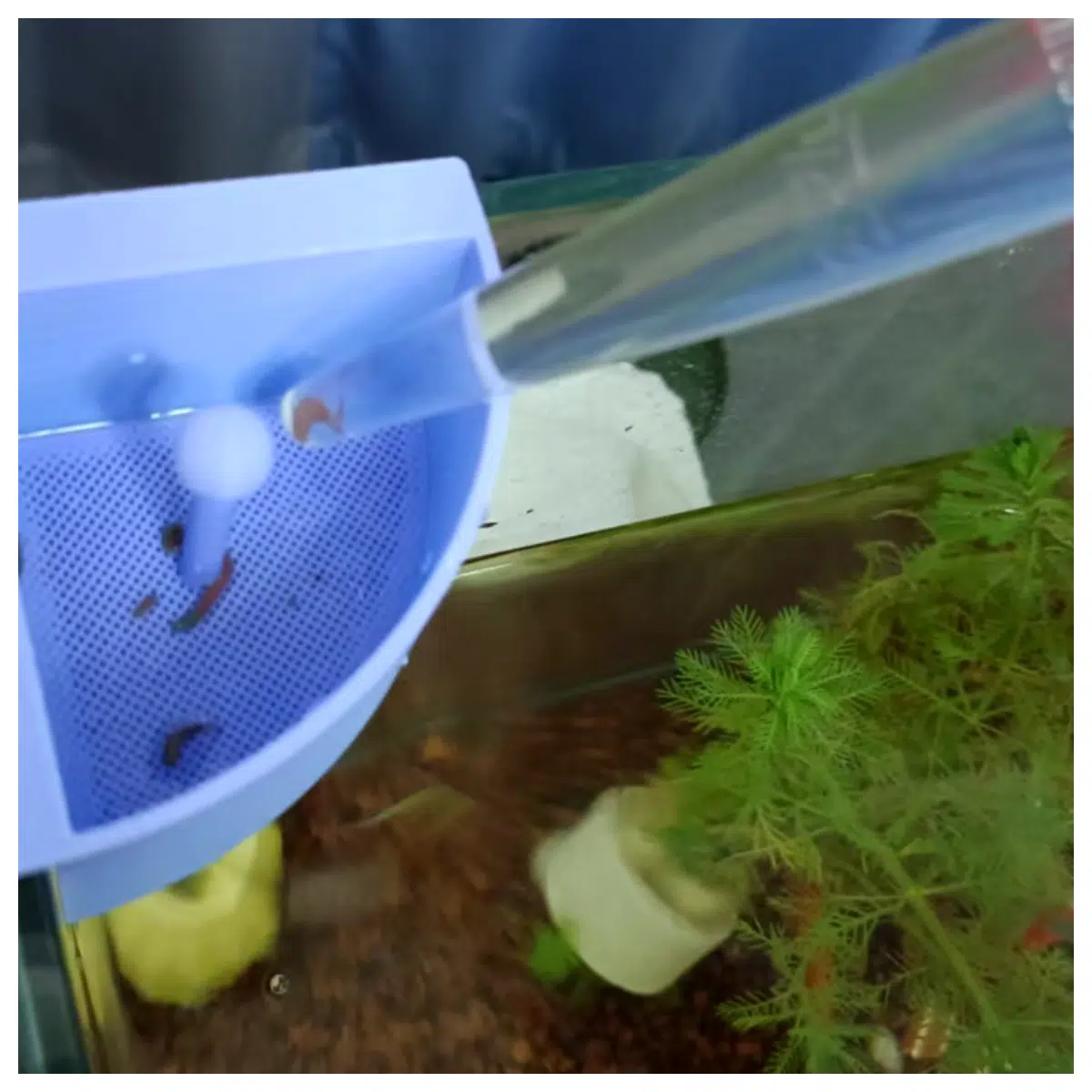 Fish Tank Separator Manual Fish Waste Remover Aquarium Cleaning Device Fish Sludge Evolution Tank Filter