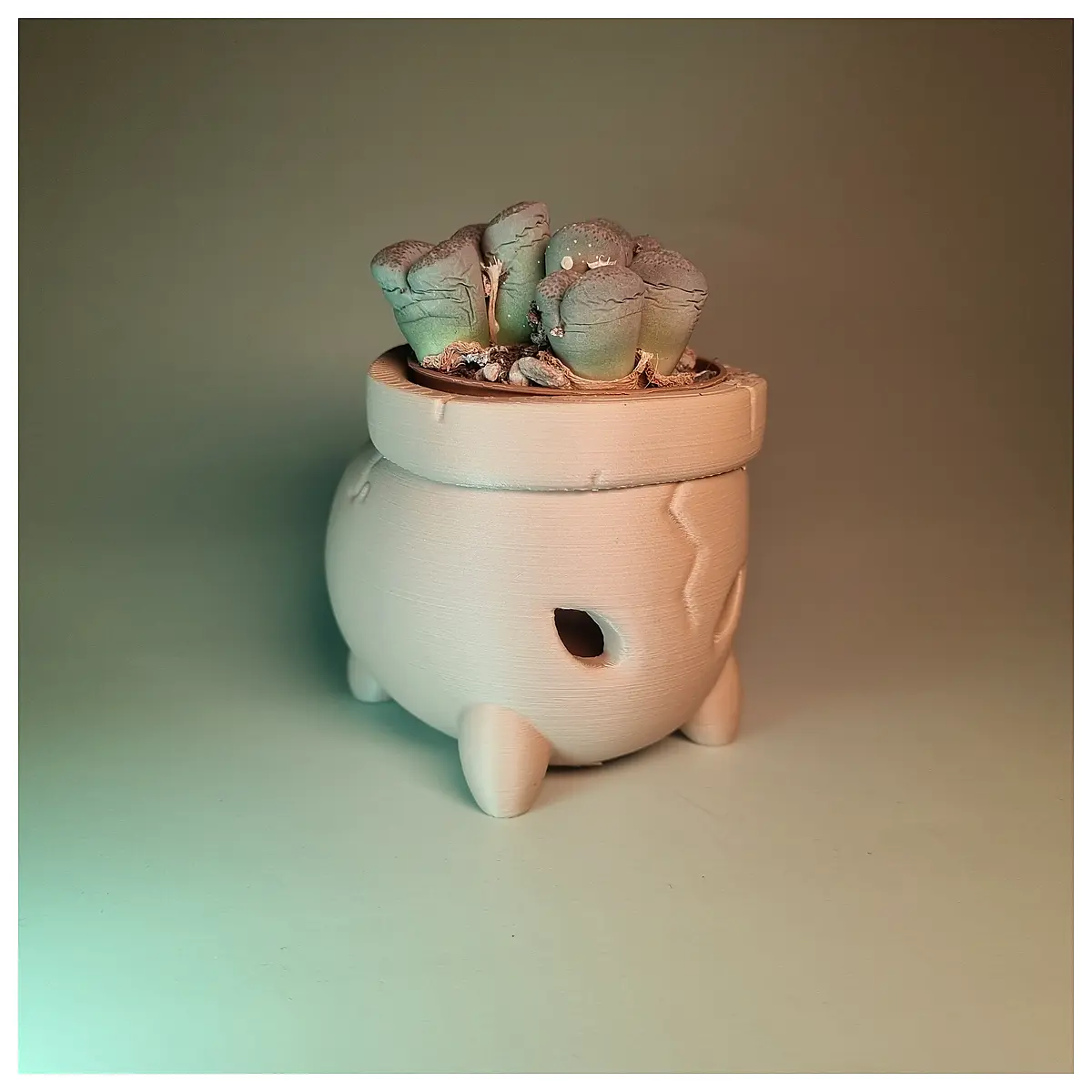 Cracked Flower Pot Plant Pots Succulents Indoor Flower Pots Decorative Flower Pots Creative Pots Indoor Gardening