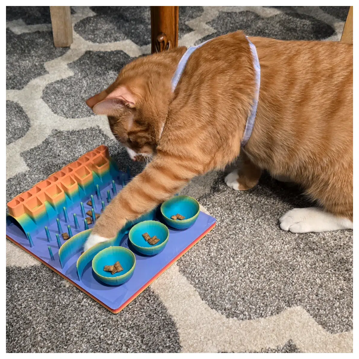 Cat Treat Activity Feeder Tray Automatic Pet Food Dispenser Smart Cat Food Dispenser Treat Portioner Timer Feeding
