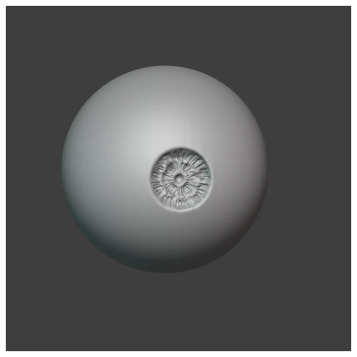 Eyeball Replacement Options Eyeball Repair Eyeball Parts Price Inquiry Quality Eyeballs Global Supply