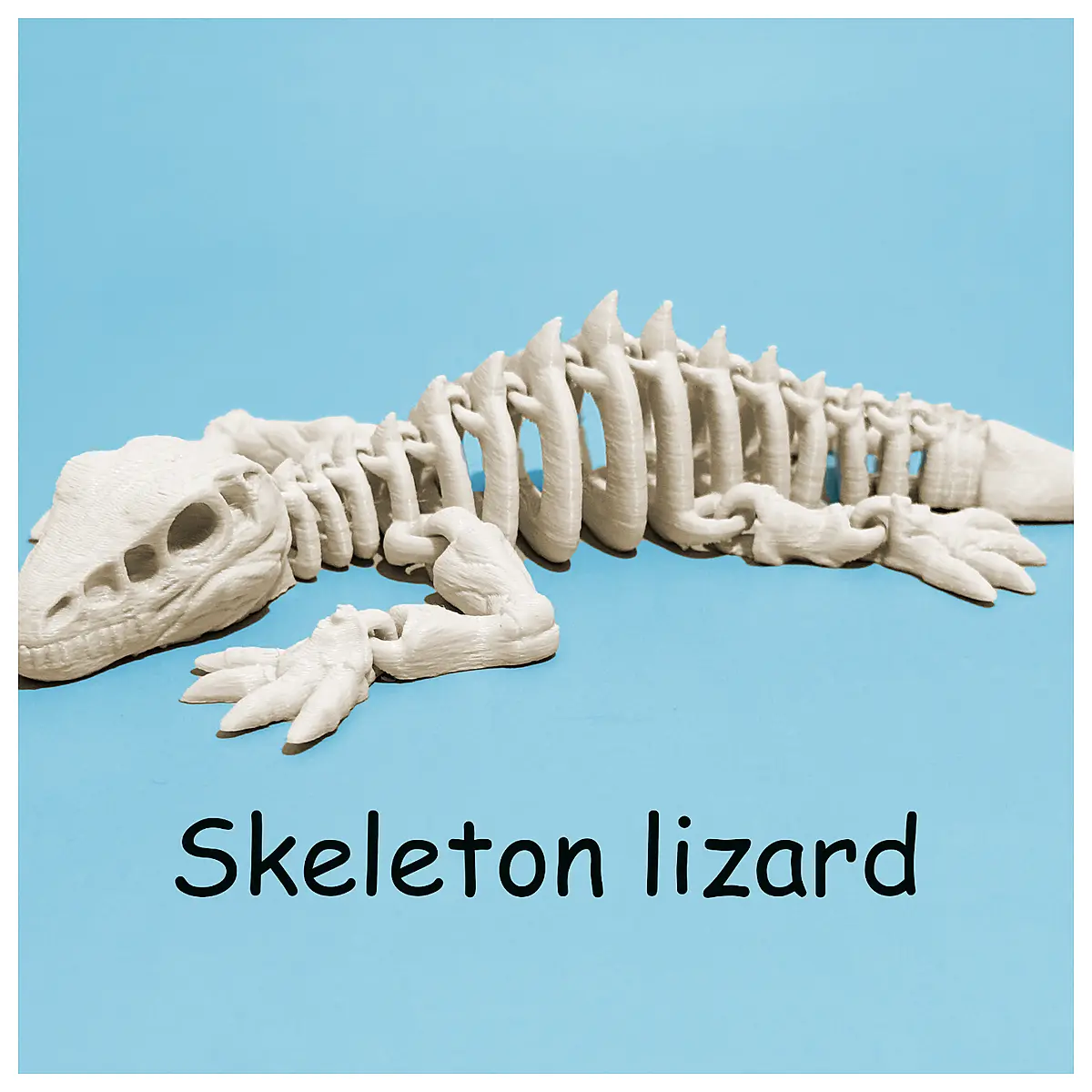 Articulated Skeleton Lizard Bones Joint Model Toy Simulation Biology Learning Teaching