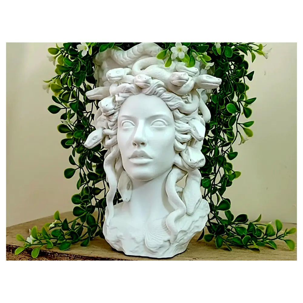 Medusa Planter Elegant Ceramic Pot Indoor Plants Succulents Decorative Planter Flower Pot Garden Container