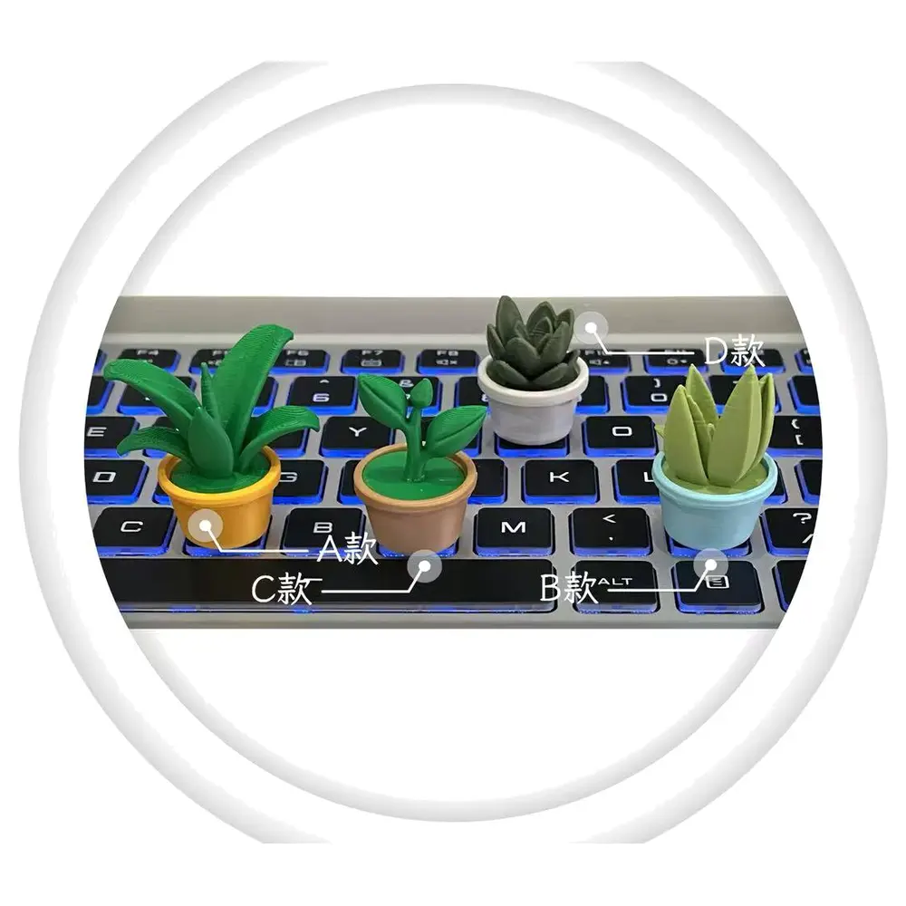 Miniature Plant Package Series Small Plants Indoor Planters Green Decor Plant Care Plant Gift Box Plant Store