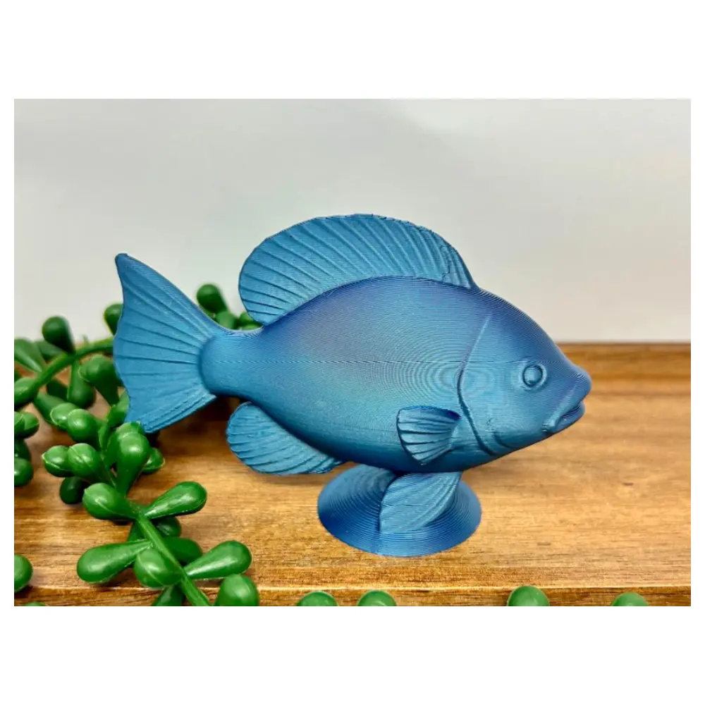 Fish Species Guide Fish Keeping Tips Aquarium Equipment Fish Food Community