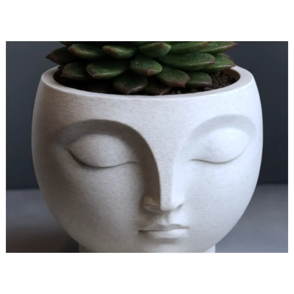 Serene Flower Pot Ceramic Planter Plant Stand Indoor Flowers Decorative Pot Flower Care