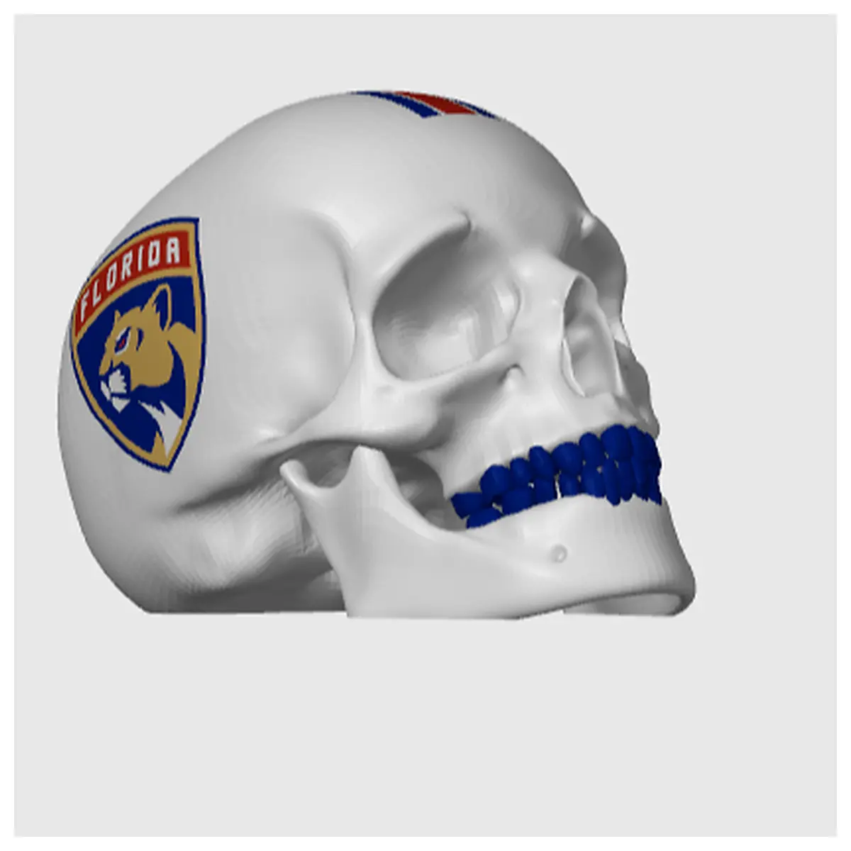 Florida Panthers Skull Merchandise Collectible Decoration Team Souvenir Sports Memorabilia Gift