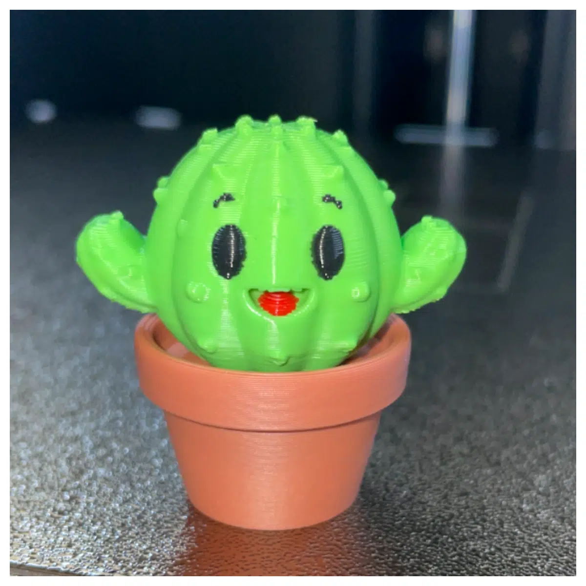 Cactus Seedlings Small Cactus Cubs Houseplants Mini Cactus Indoor Succulents Desk Decoration Cactus Care