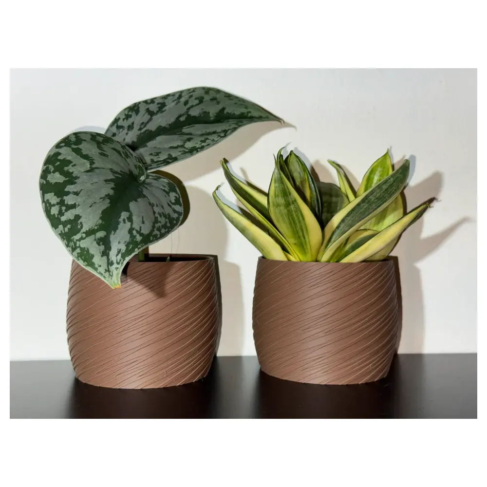 Flower Pot Plant Pots Decorative Planters Garden Succulents Plants Flower Stands Indoor Outdoor Landscape Flower Pots Planters Decoration Deals