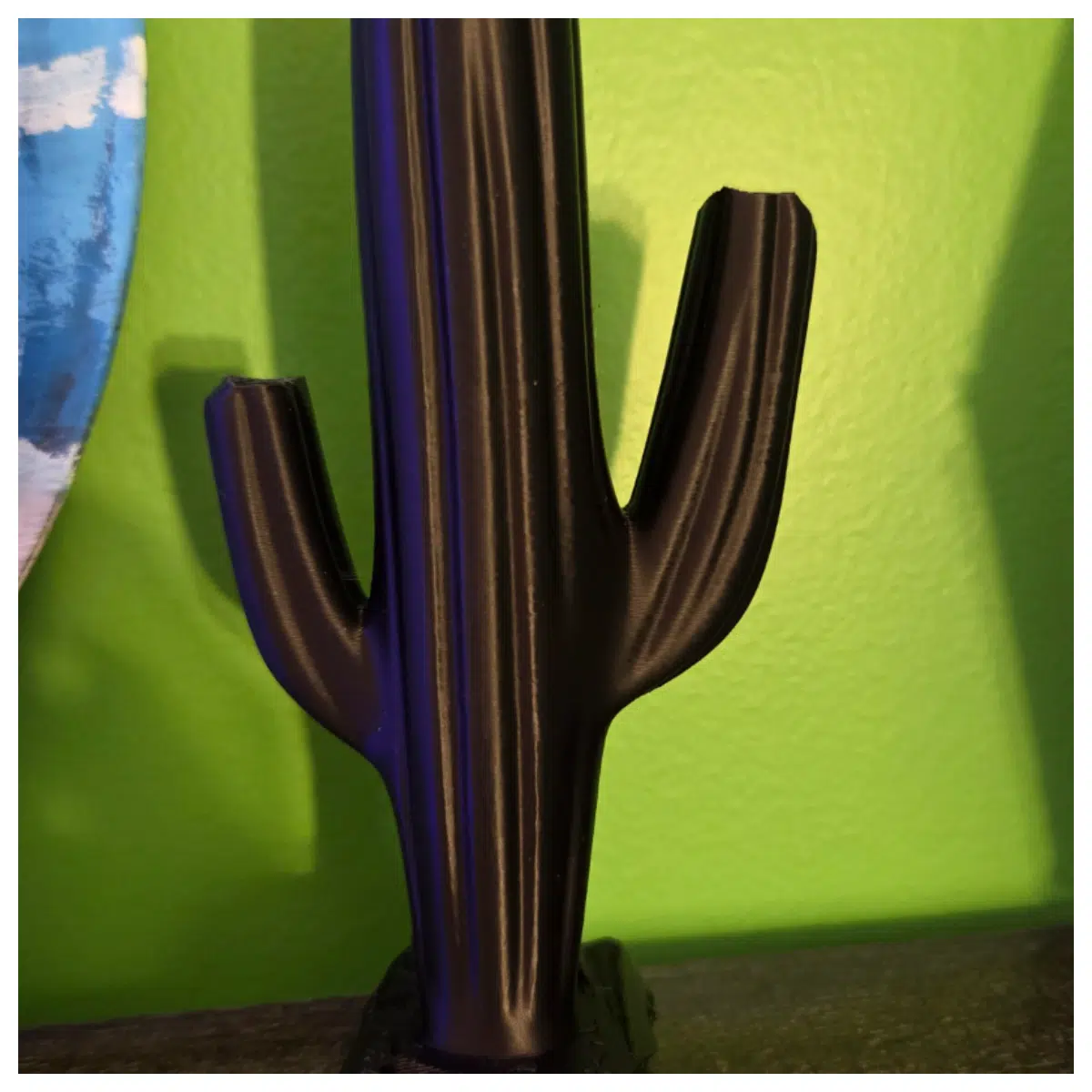 Cactus Care Guide Pot Plant Maintenance Cactus Growing Tips Indoor Cactus Houseplants Cactus