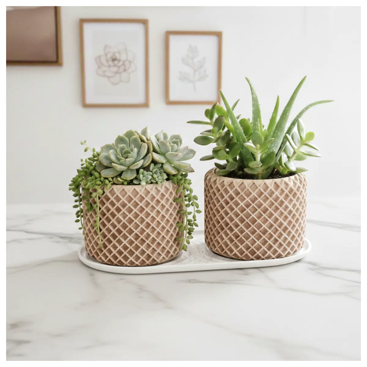 Wavy Planter Base Creative Garden Decoration Plant Stand Flower Pot Support Holder Indoor Outdoor Plant Bracket For Various Flowers Succulents