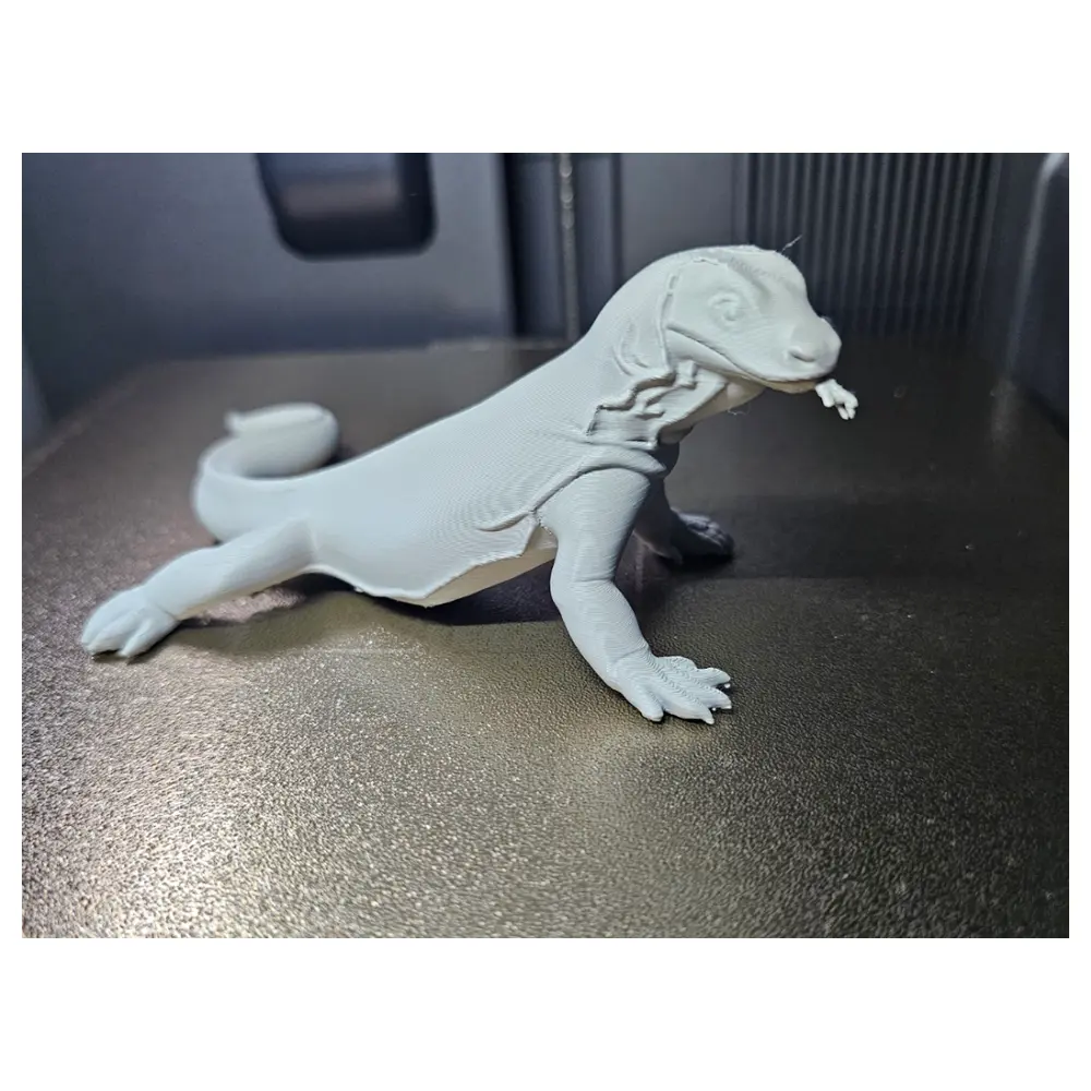 Komodo Dragon Price Purchase Feeding Knowledge Behavior Species Animal World Dragon Reptile