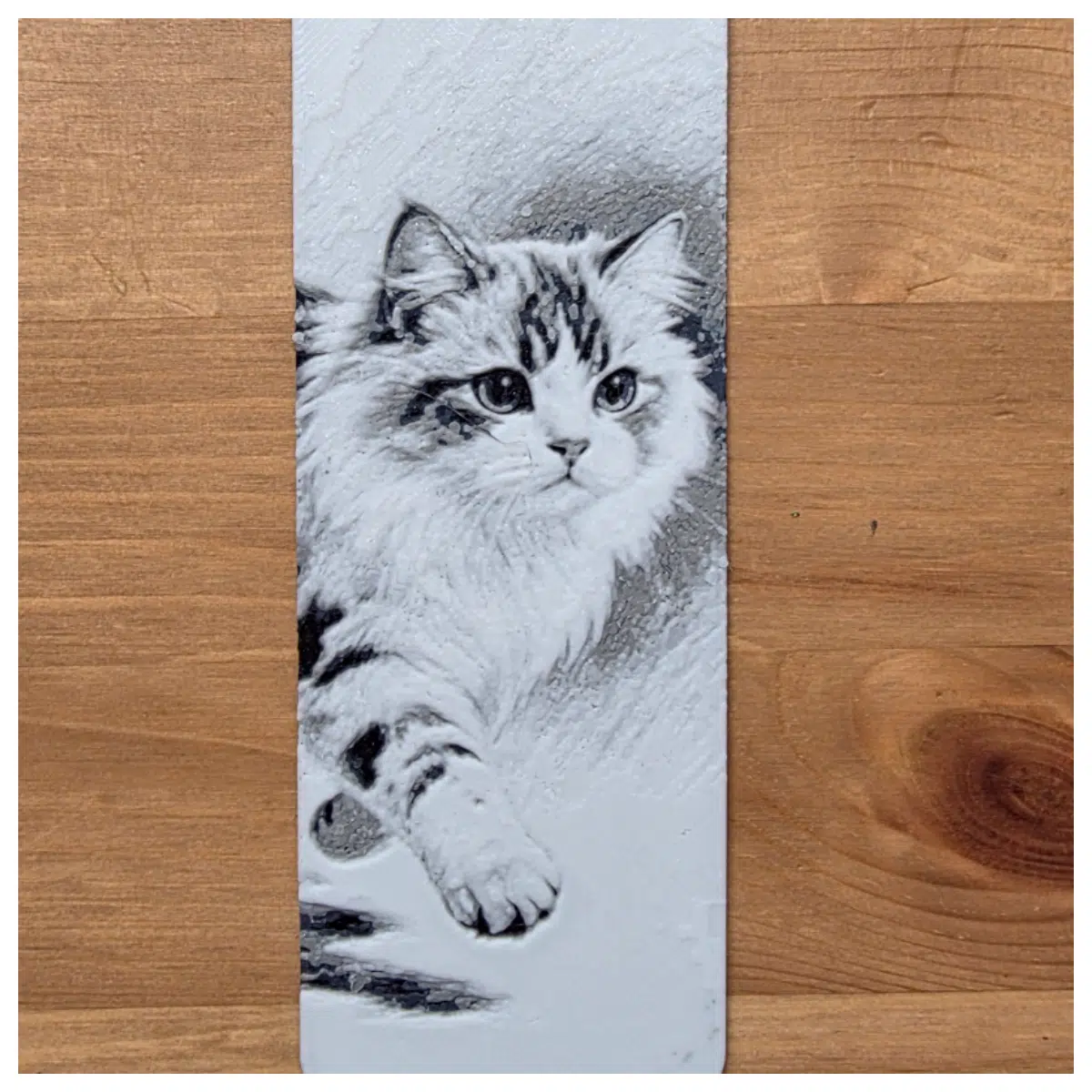 Cat Bookmark Page Protectors Book Accessories Reading Decor Stationery Gift